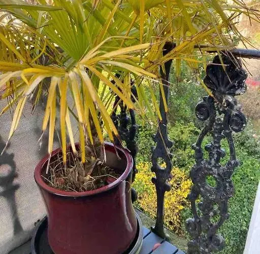 Stunning Arty In The Heart Of Clifton